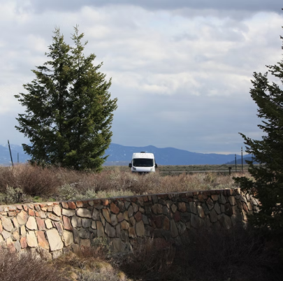 Campervan parked among trees